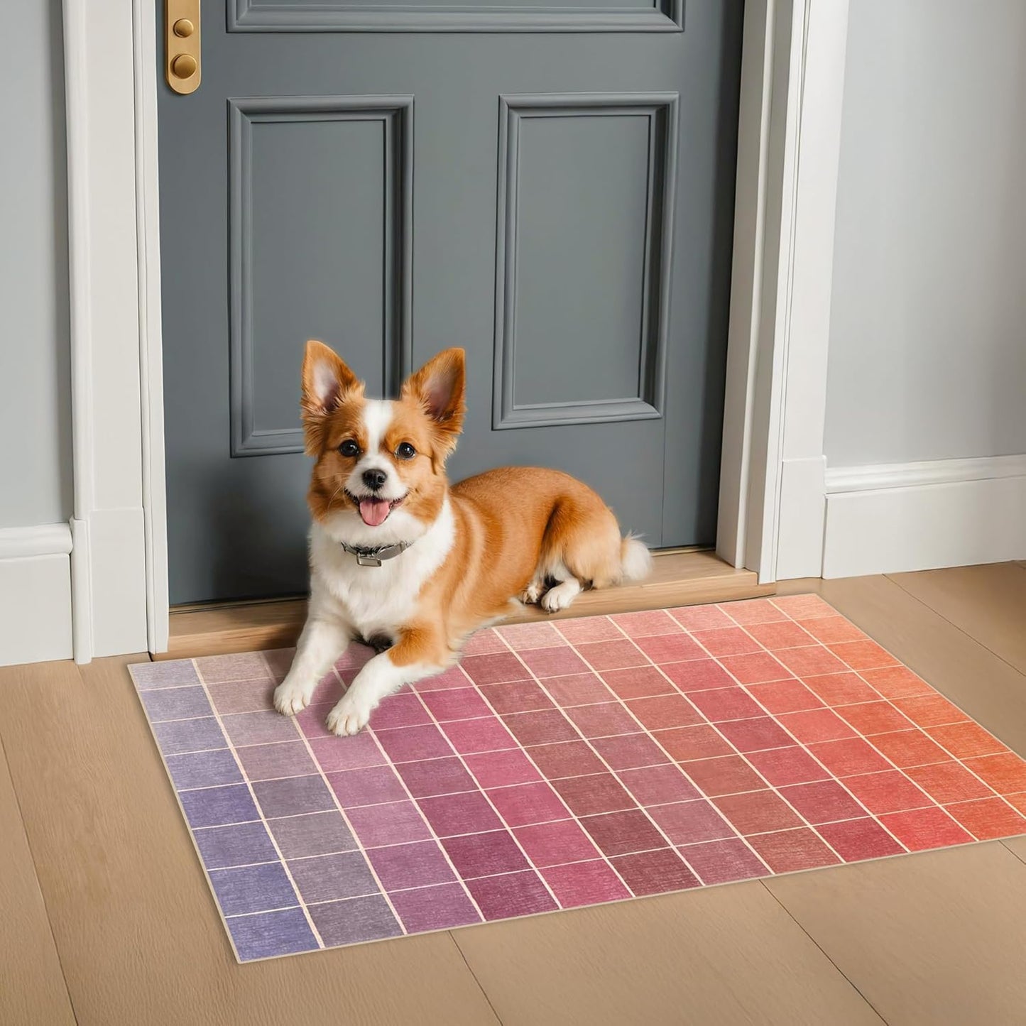 Skiennix Mid Century Modern Ombre Pink Checkered Rug - Washable Small Area Rug 2x3 for Entryway & Kitchen