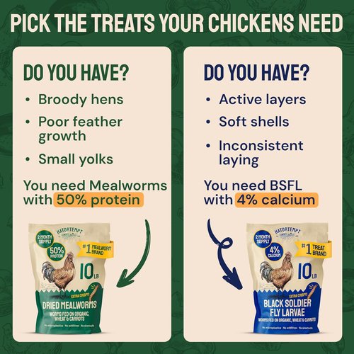 Hatortempt Dried Mealworms - 10 Lb Non-GMO Bulk Feed for Chickens, Ducks & Wild Birds - High-Protein Nutrition