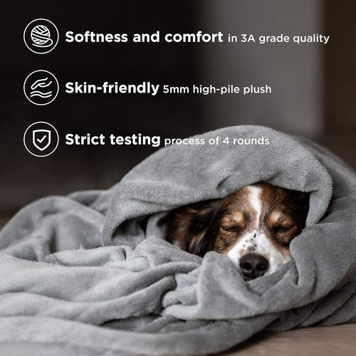 Bedsure Queen Size Blanket & Sheet Set - Soft, Cozy Comfort | 1 Blanket + 4 Sheets