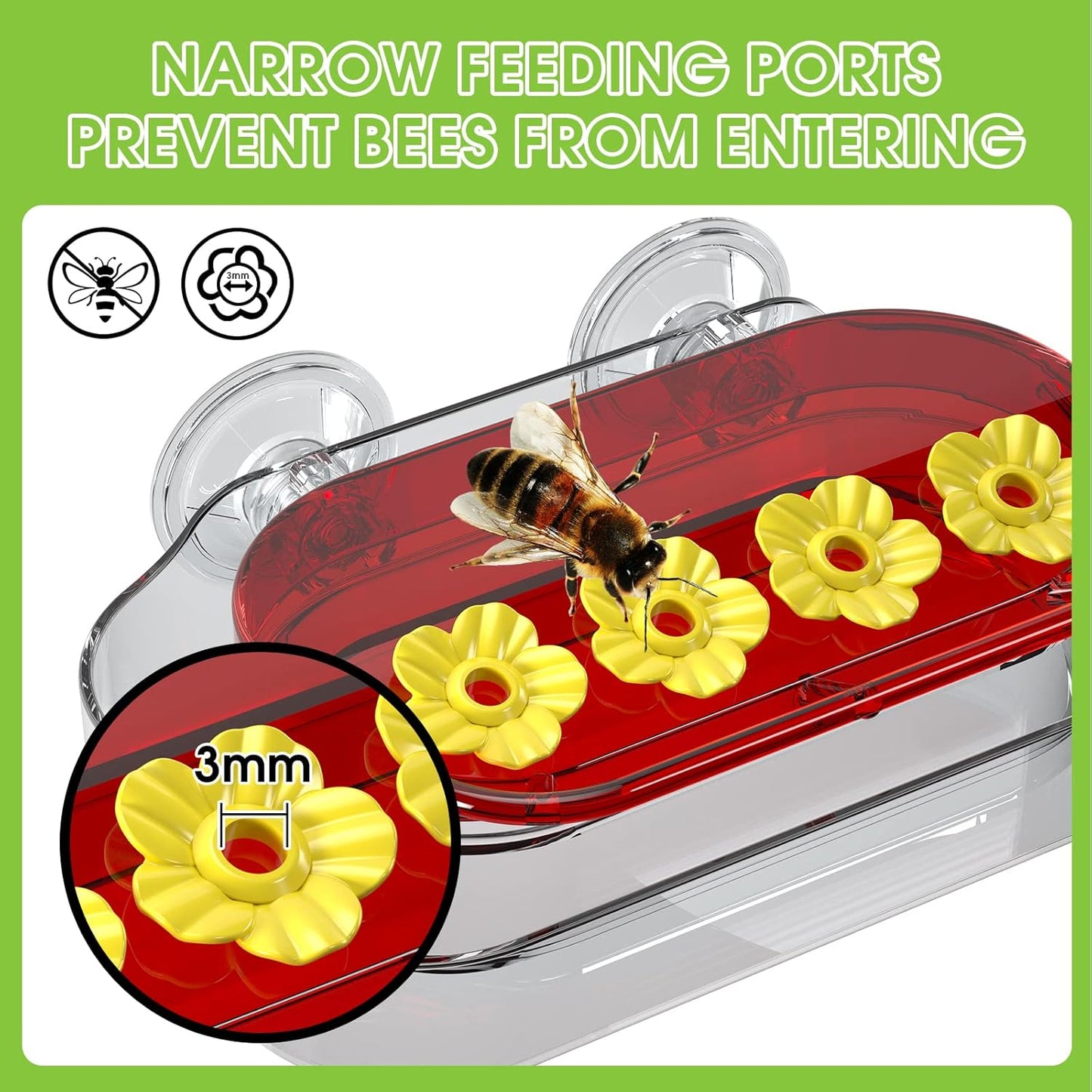 Redboat Hummingbird Feeder - 2 Pack Window Design with Strong Suction Cups & 4 Feeding Ports | Easy Clean, 10oz