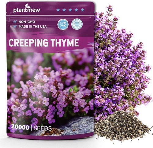 Creeping Thyme Seeds by [Brand Name] - 20,000+ Fragrant Ground Cover Seeds for Gardens & Landscaping (10g)