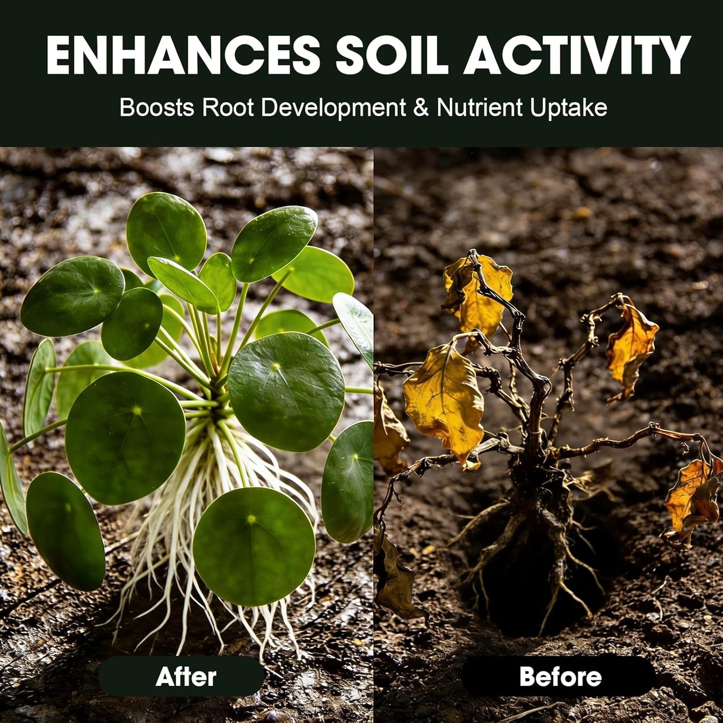Skiennix Soil Activator - Organic Plant Fertilizer for Garden Beds | 32.4 oz (920g) Root Growth Booster