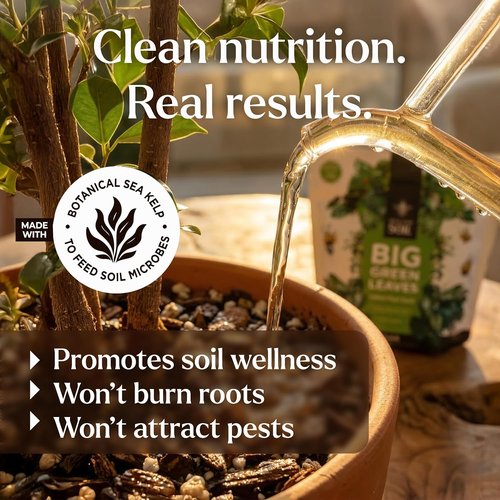 Big Green Leaves Indoor Plant Food - 4X Concentrated Fertilizer with Sea Kelp - Makes 90 Gallons - Fast-Acting Formula (1 lb)
