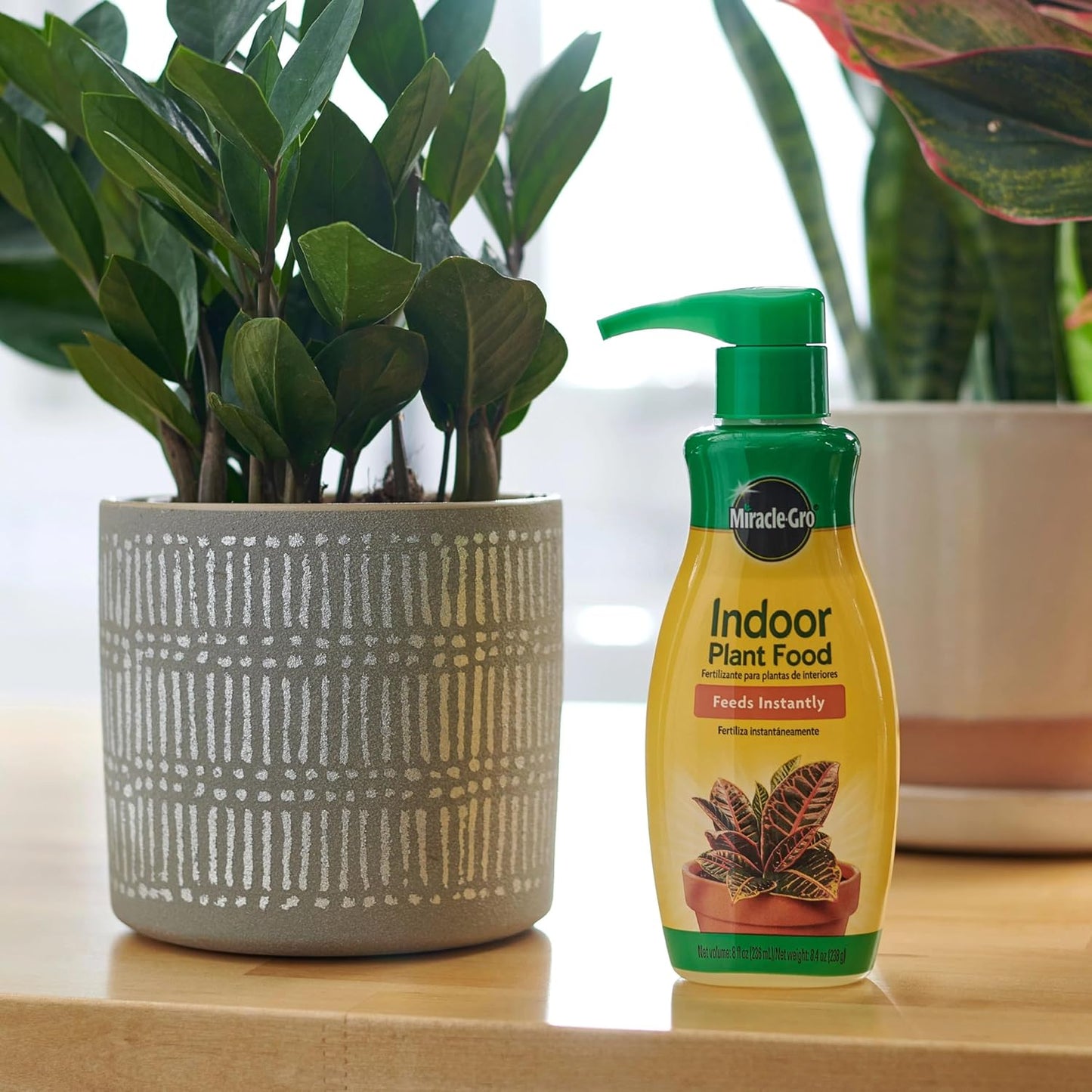Miracle-Gro Indoor Potting Mix & Plant Food Bundle - 6 Qt Potting Mix + 8 Oz Fertilizer for Thriving Houseplants