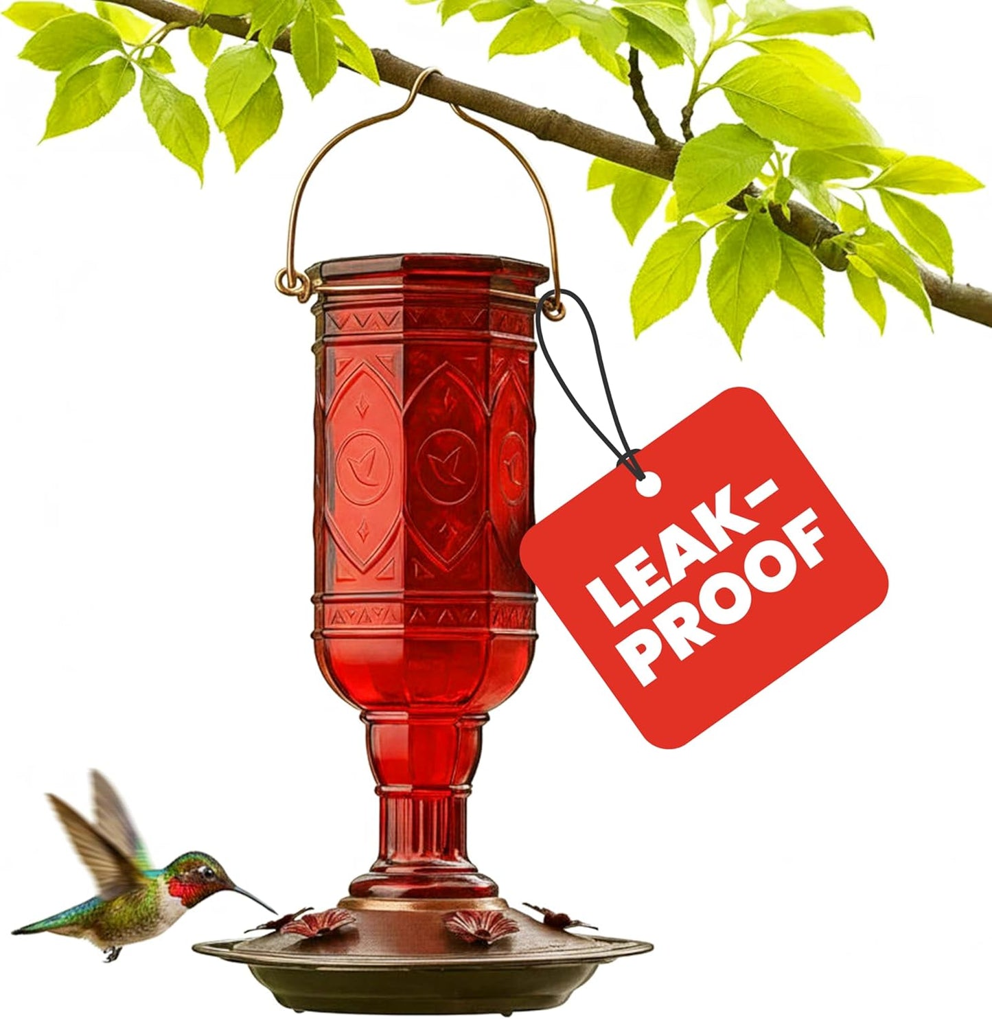 More Birds Red Jewel Hummingbird Feeder - Glass Bottle with 5 Feeding Ports & 20-Ounce Capacity