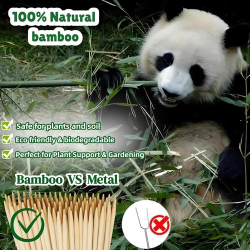 Bamboo Plant Stakes - 100 PCS 3FT Thick 6.3mm Support Sticks for Indoor & Outdoor Gardening