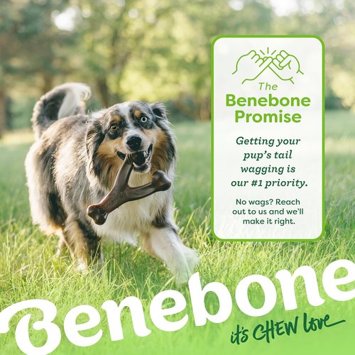 Benebone Wishbone Dog Chew Toy - Durable Real Bacon Flavor for Aggressive Chewers | Medium Size