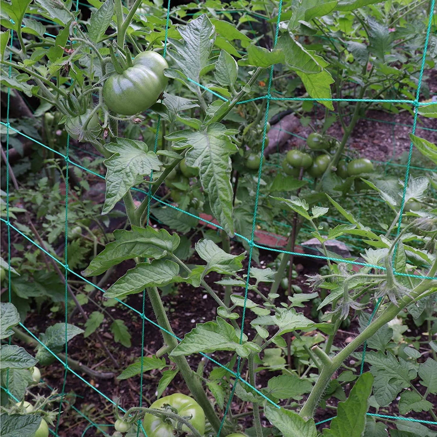 Trellis Netting - Heavy Duty Garden Trellis for Climbing Plants, Cucumber & Tomato - 8.2' x 6.6' Ft