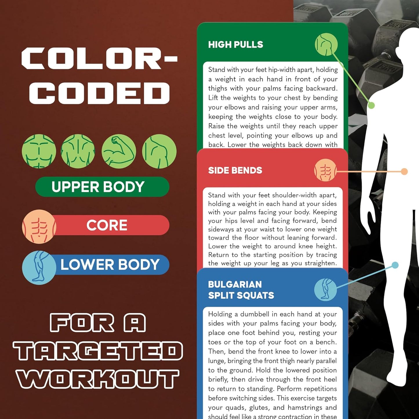 75 Dumbbell Workout Cards - Full Body Weight Training Exercise Deck for At-Home Fitness | 12 Pre-Made Strength Workouts