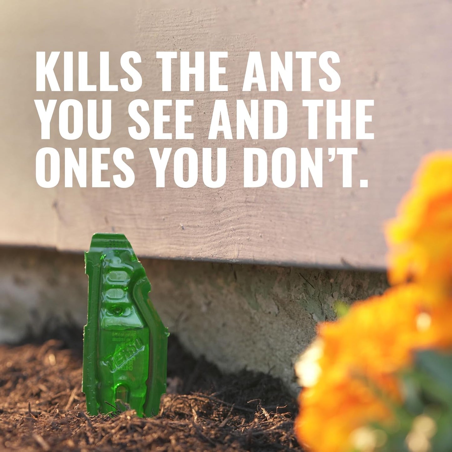 TERRO Liquid Ant Baits - Ready-to-Use Ant Traps for Outdoor Use | Kills Household Ants, 12 Stakes