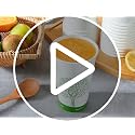 ECOLipak 240 Pack 12oz Compostable Paper Coffee Cups - Biodegradable PLA-lined Disposable Cups