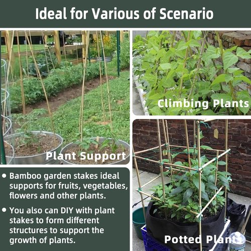 Bamboo Plant Stakes - 50 Pcs 18-Inch Support Sticks for Indoor/Outdoor Plants | Ideal for Tomatoes, Vegetables, and Climbing Plants