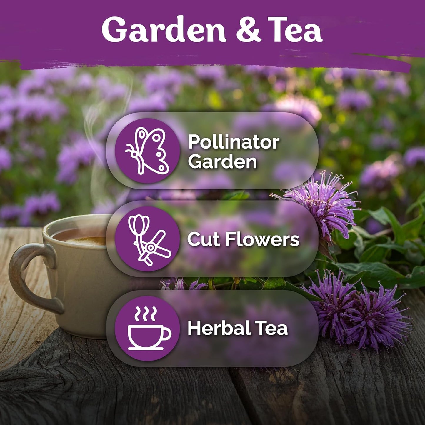 KVITER Wild Bergamot Seeds (Monarda Fistulosa) - Organic Non-GMO Pollinator Magnet | 1,000 Perennial Flower Seeds for Your Garden