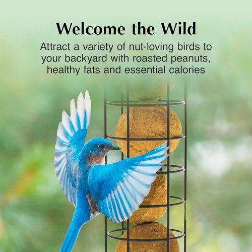 C&S Peanut Delight Dough Balls for Wild Birds - No Melt Formula, Pack of 4 | Ideal for Woodpeckers & Blue Jays