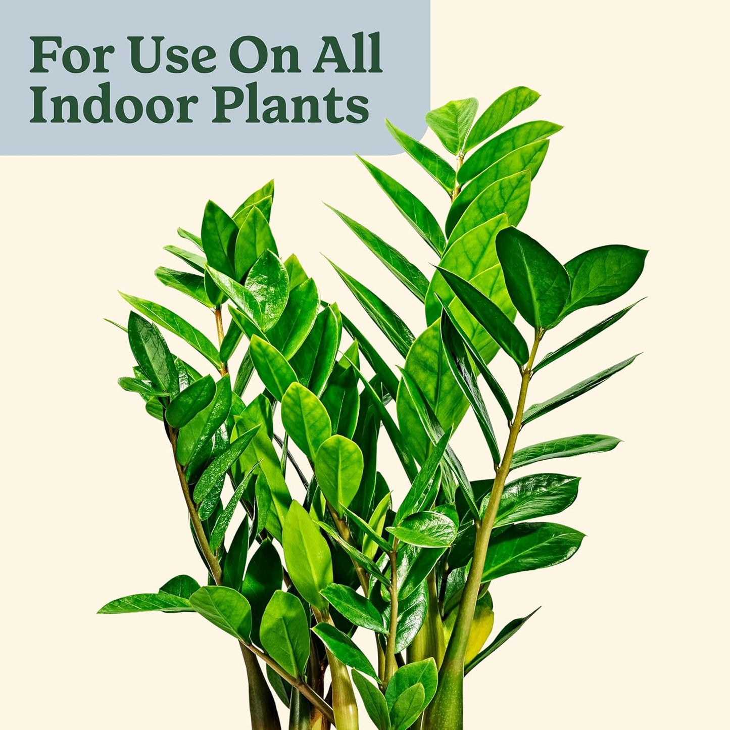 Miracle-Gro Gnat Control Plus Plant Food - Effective Indoor & Outdoor Plant Care | 4 Packets