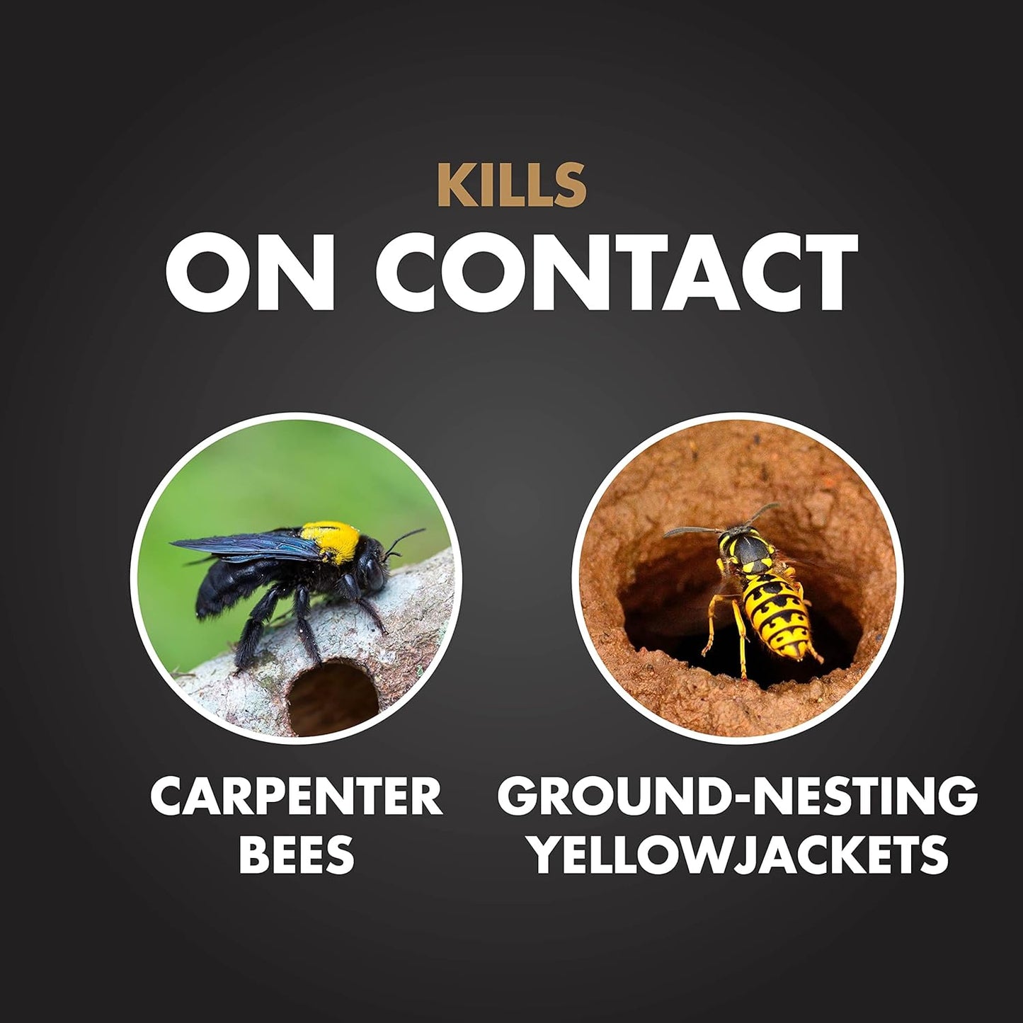 Spectracide Carpenter Bee & Yellowjacket Killer - Foaming Aerosol, 16 Ounces | Targets Insect Nests