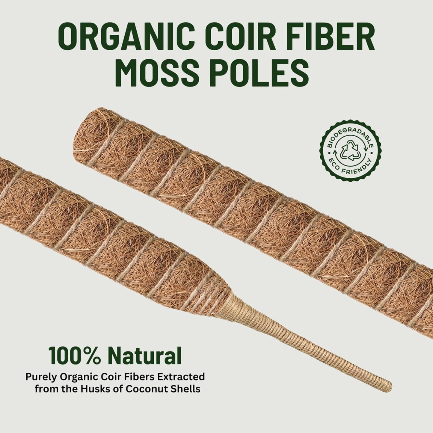 Skiennix 30-Inch Moss Pole - Handmade Coco Coir Support for Climbing Plants | 2-Pack for Monstera Growth