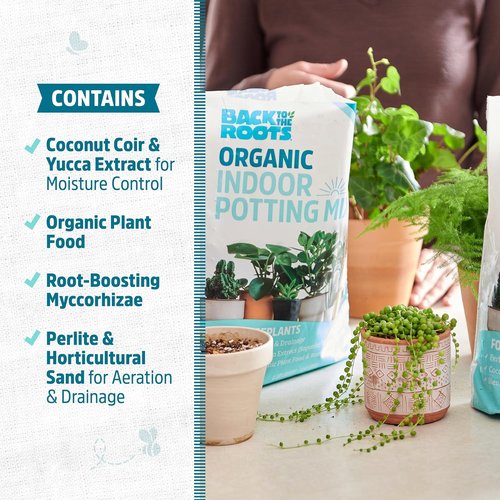 Back to the Roots 100% Organic Potting Mix - 12 Quart Value Bag | Promotes Healthy Houseplant Growth