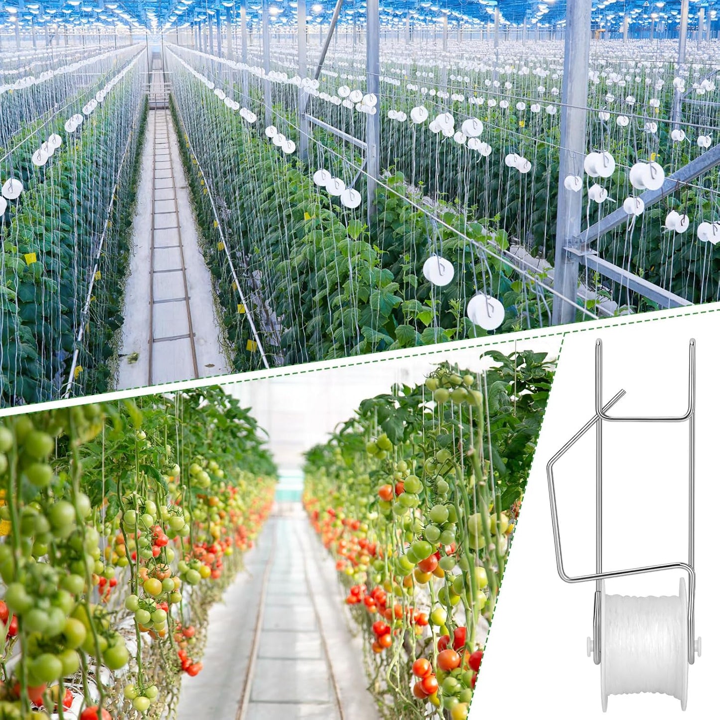 Skiennix Tomato Roller Hooks - 10 Pack with 49.2FT String for Greenhouse & Plant Support