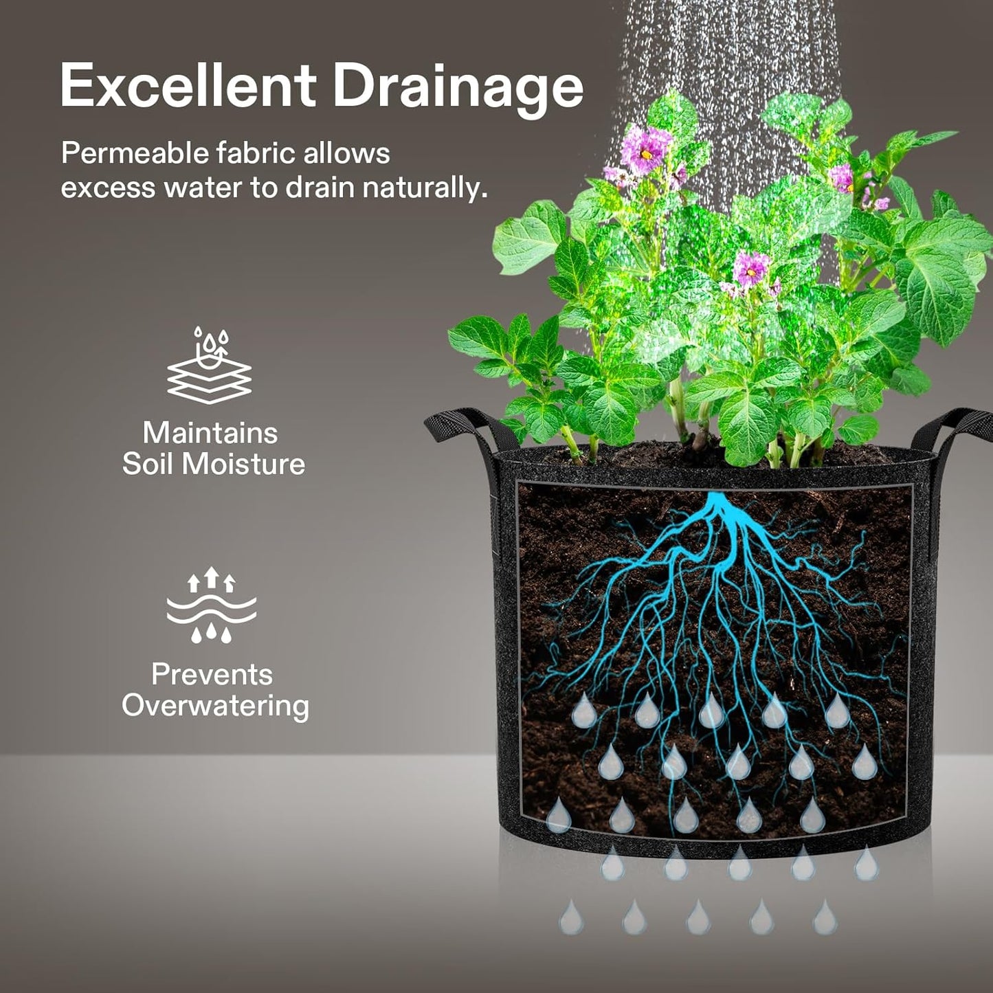 VIVOSUN 1 Gallon Grow Bags - Heavy Duty Nonwoven Fabric Pots with Handles for Flowers & Vegetables - 20-Pack