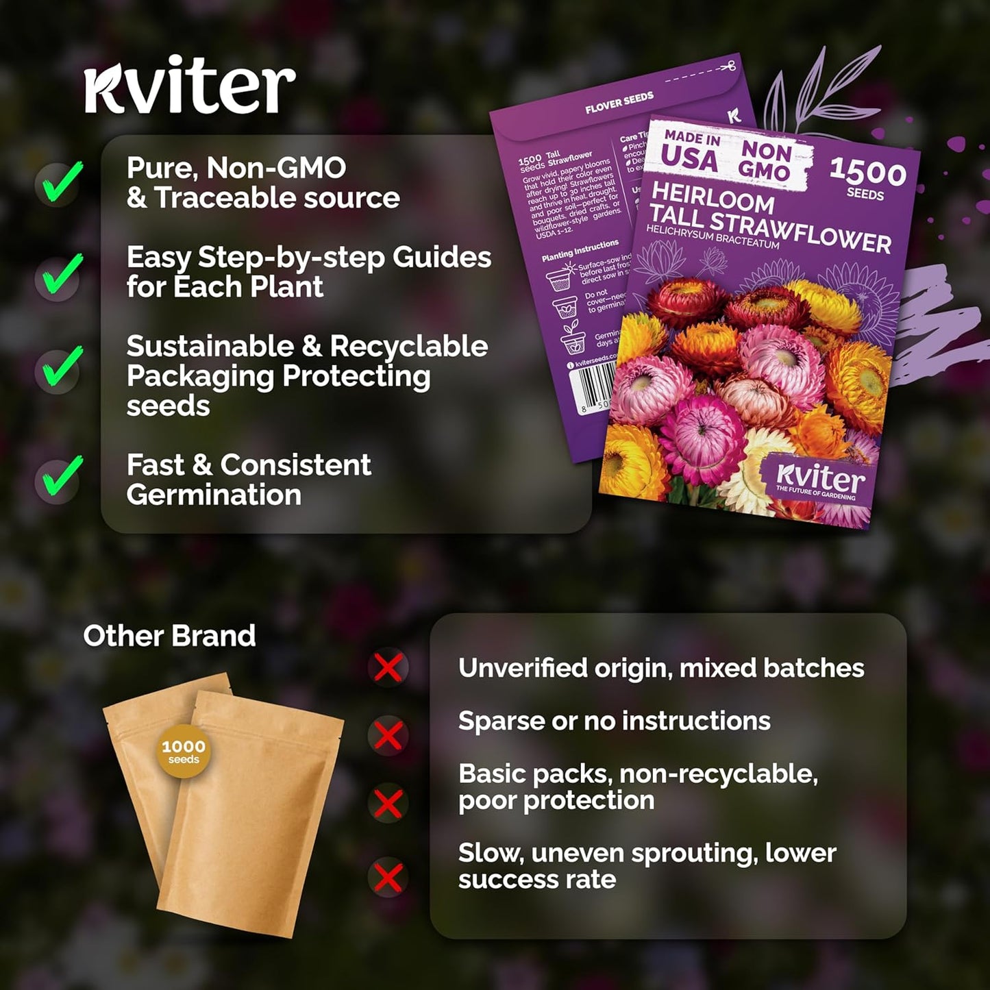 KVITER Tall Mix Strawflower Seeds - 1,500 Organic Heirloom Golden Everlasting Flower Seeds for Planting & Drying