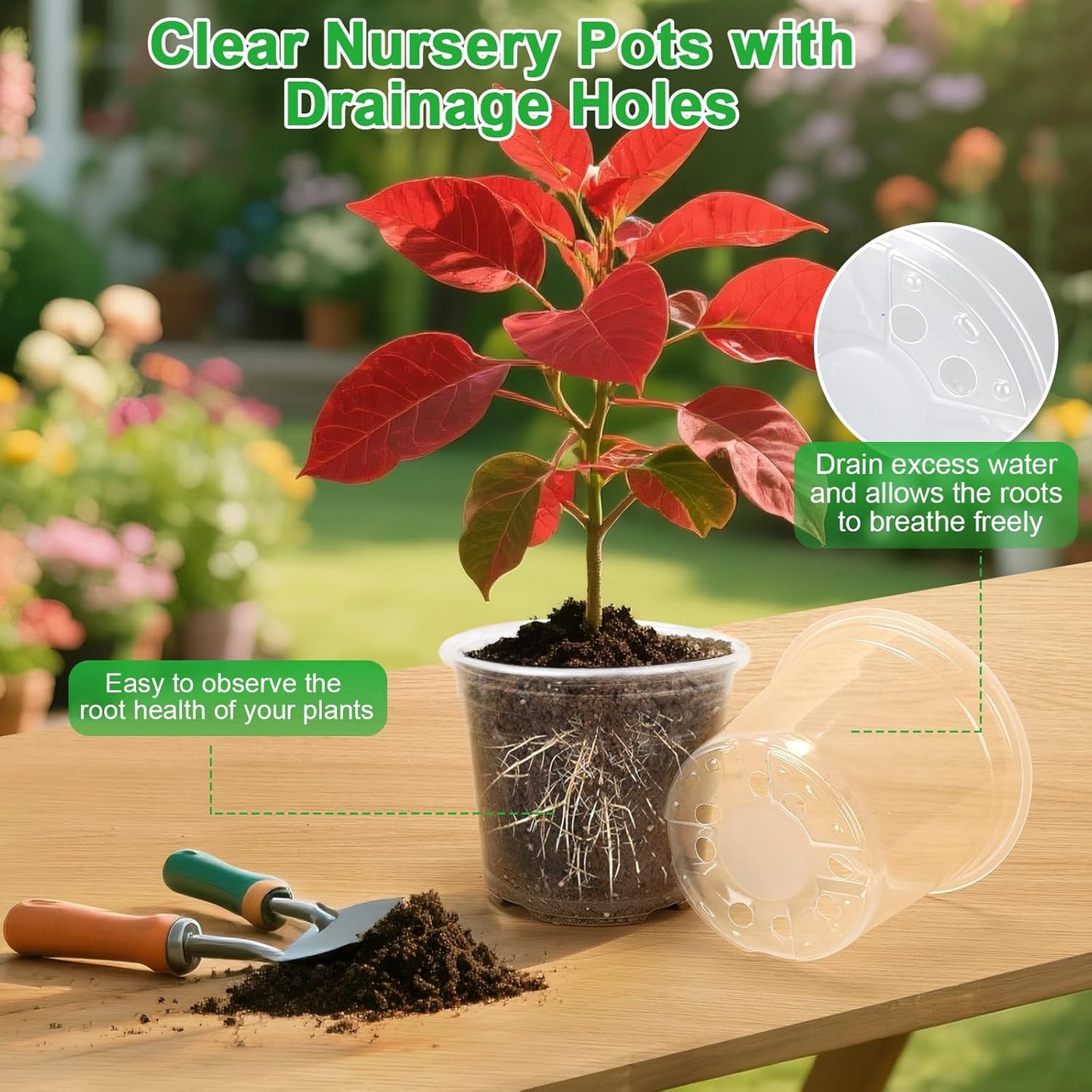 Skiennix Large Clear Nursery Pots - 10/8/6/5 Inch with Drainage Holes | 16 Pack Plastic Plant Pots for Succulents and Seedlings