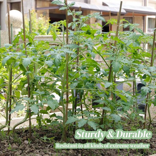 Bamboo Garden Stakes by [Brand Name] - 50 Pcs 4.0 FT Natural Plant Support for Tomatoes, Beans & Flowers
