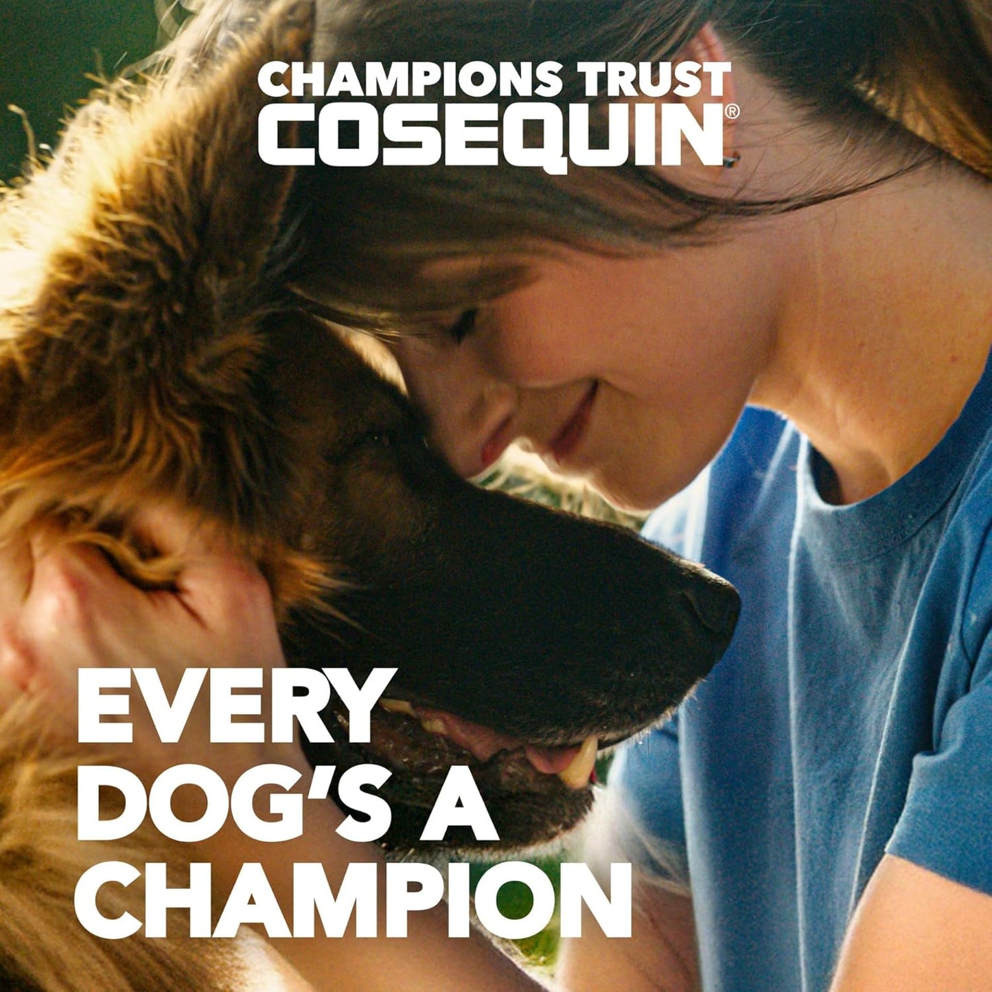 Nutramax Cosequin Joint Health Supplement for Dogs - Glucosamine, Chondroitin & MSM, 132 Chewable Tablets