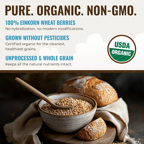 Grand Teton Ancient Grains - 100% Organic Einkorn Berries, Premium Food-Grade Farro Piccolo, For Milling into Flour, Baking, Pilafs, & Soups, 5 lbs