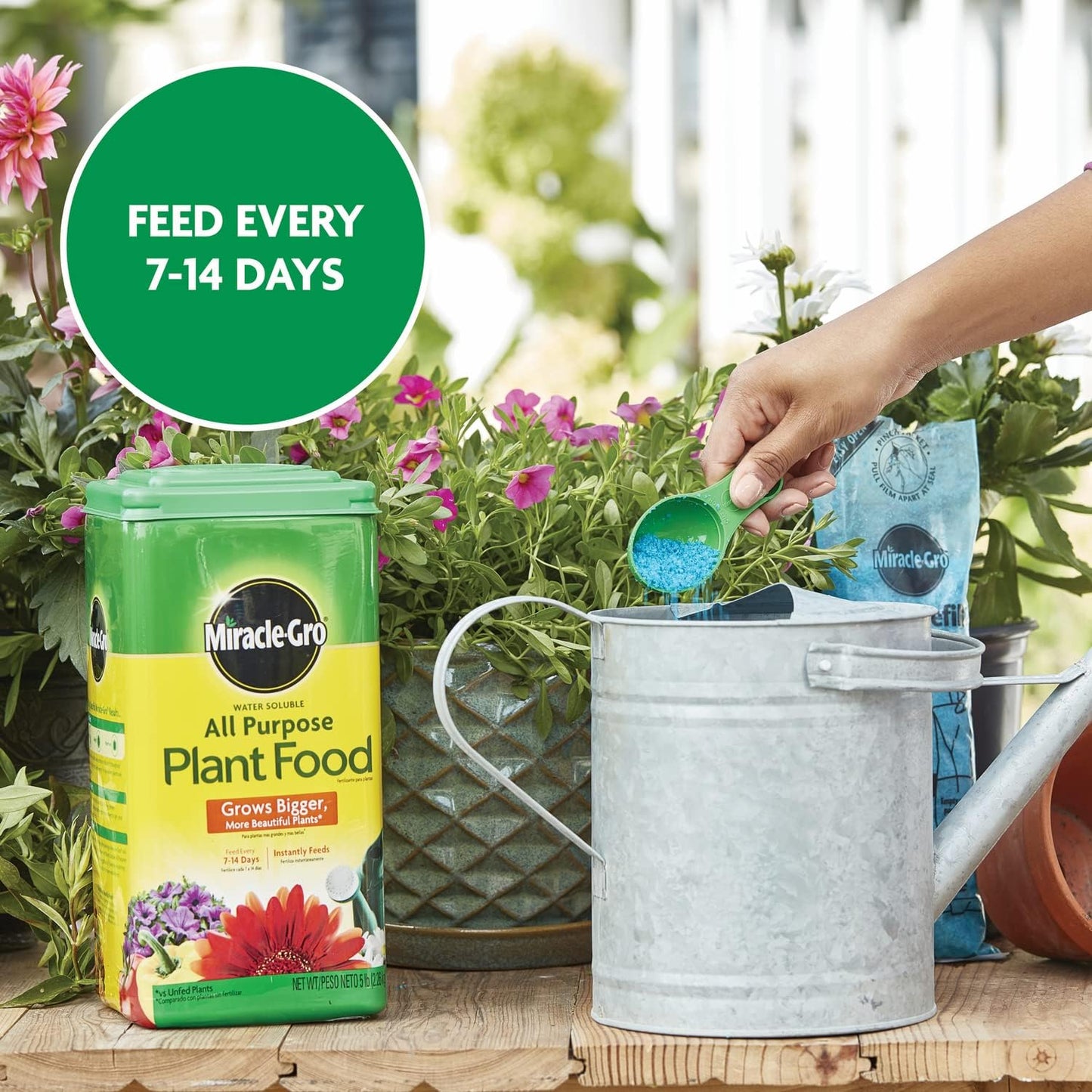 Miracle-Gro Water Soluble Plant Food - All-Purpose Fertilizer for Indoor & Outdoor Plants, 5 lbs.