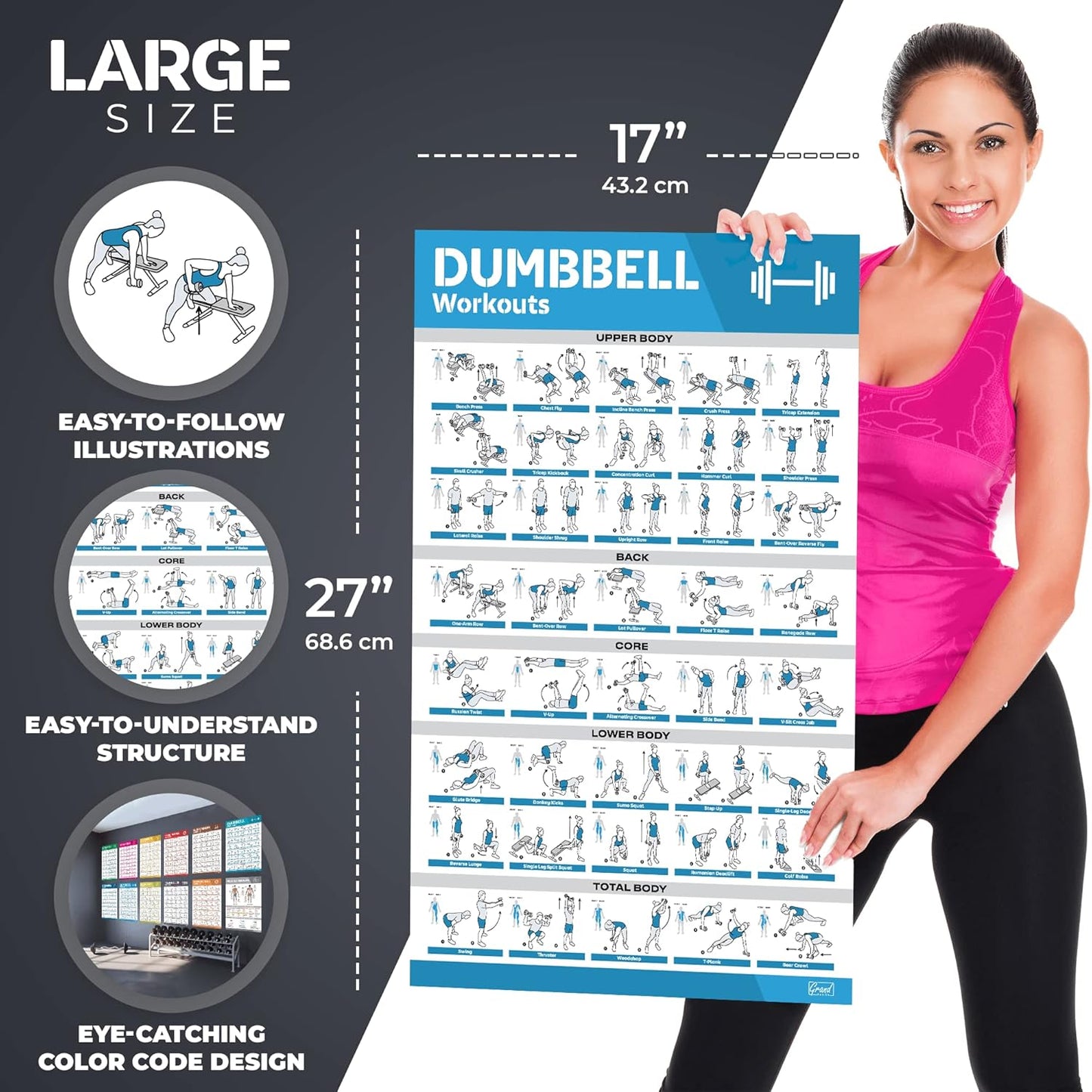12-Pack Laminated Workout Posters by [Brand Name] - Essential Exercise Charts for Home Gym