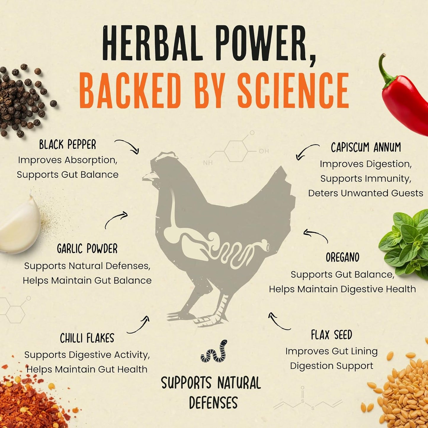Roosty's Naturals Flock Armor - All-Natural Chicken De-Wormer Powder | Chili Mix | XL 1LB Pouch
