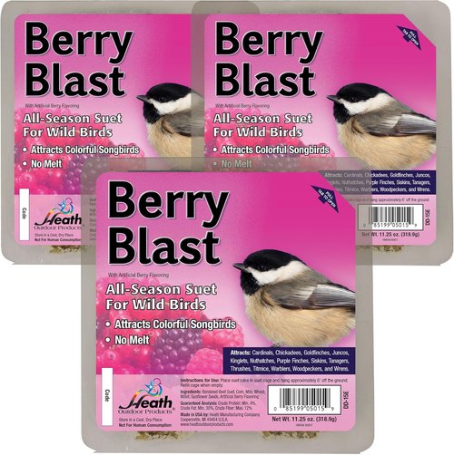 Heath Outdoor Products Berry Blast Suet Cakes - Sample Pack of 3 Delicious Treats for Wild Birds