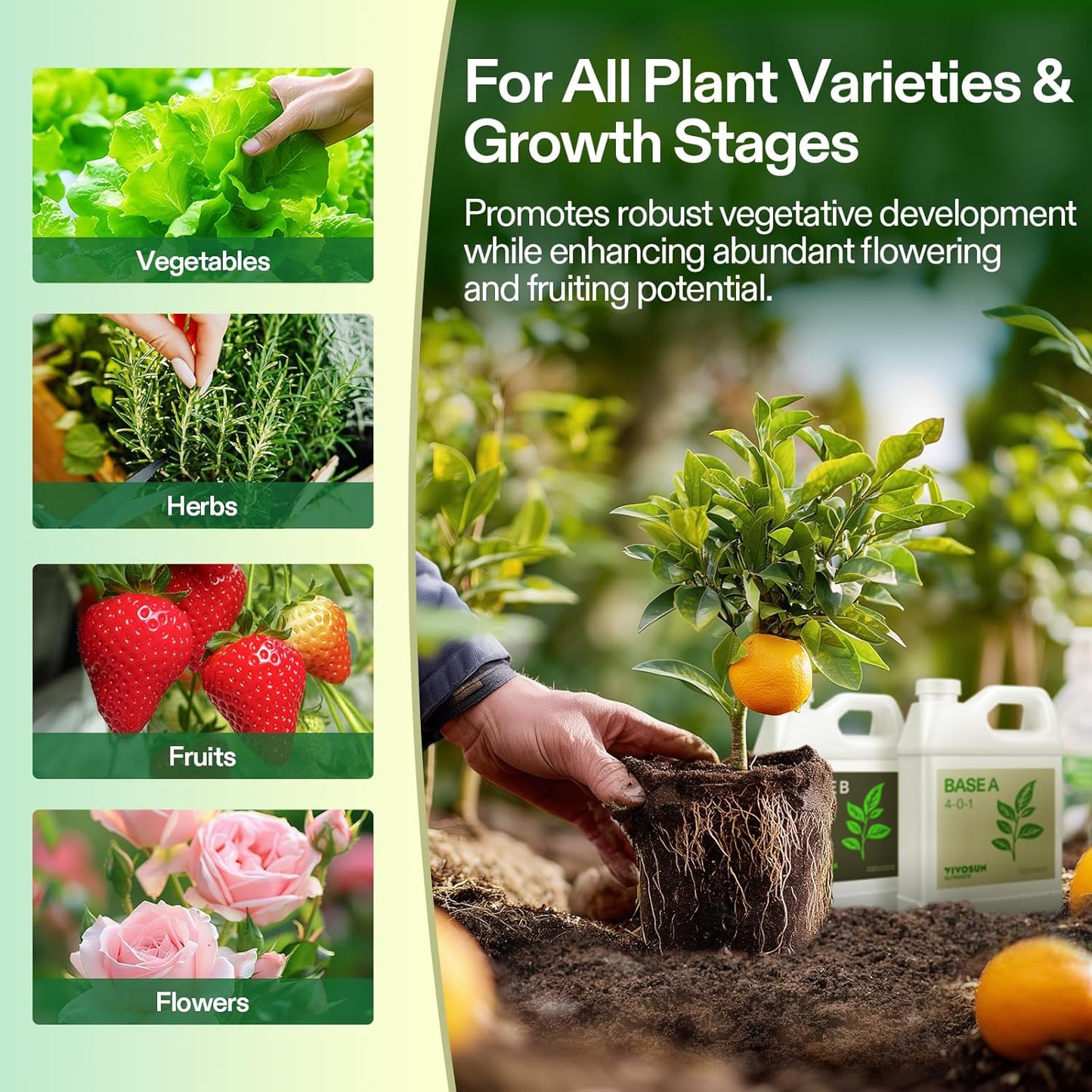 VIVOSUN Hydroponic Fertilizer Bundle - Liquid Nutrients A & B for Optimal Plant Growth | Quart Set