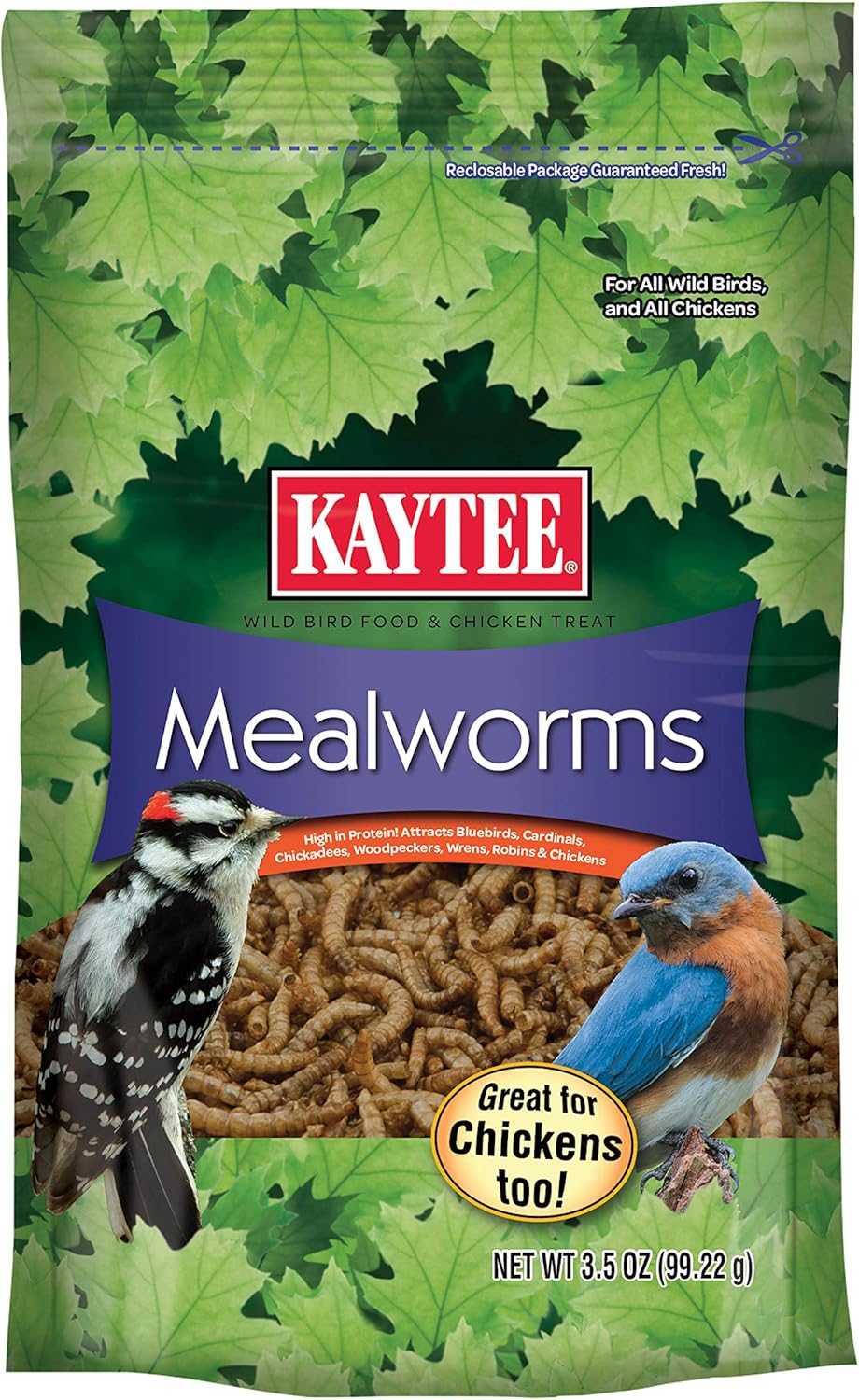 Kaytee Wild Bird Food - Mealworms for Bluebirds, Wrens, Robins & More | 3.5 Ounce Pack