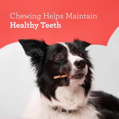 DreamBone Twist Sticks - Rawhide-Free Dog Chews Made with Real Vegetables & Chicken | 50 Count