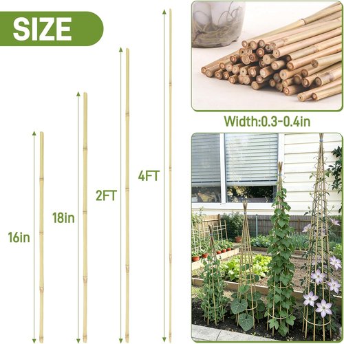 Bamboo Garden Stakes by [Brand Name] - 50 Pcs Natural 16-Inch Plant Support Poles for Indoor/Outdoor Use