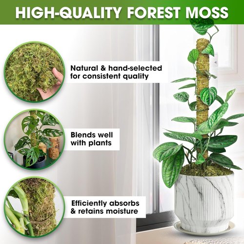DUSPRO Natural Stackable Moss Pole - Monstera Plant Support Sticks | 22" Handmade Indoor Plant Stakes (2 Pcs)