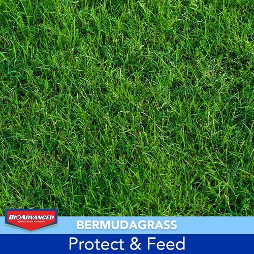 BioAdvanced 3-In-1 Weed and Feed Granules - Perfect for Southern Lawns, 12.5 lb Covers 5,000 Sq Ft