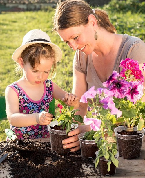 Homenote Clear Nursery Pots - 30 Pack Plastic Seedling Pots with Drainage Holes | 4/5/6.7 Inch Size