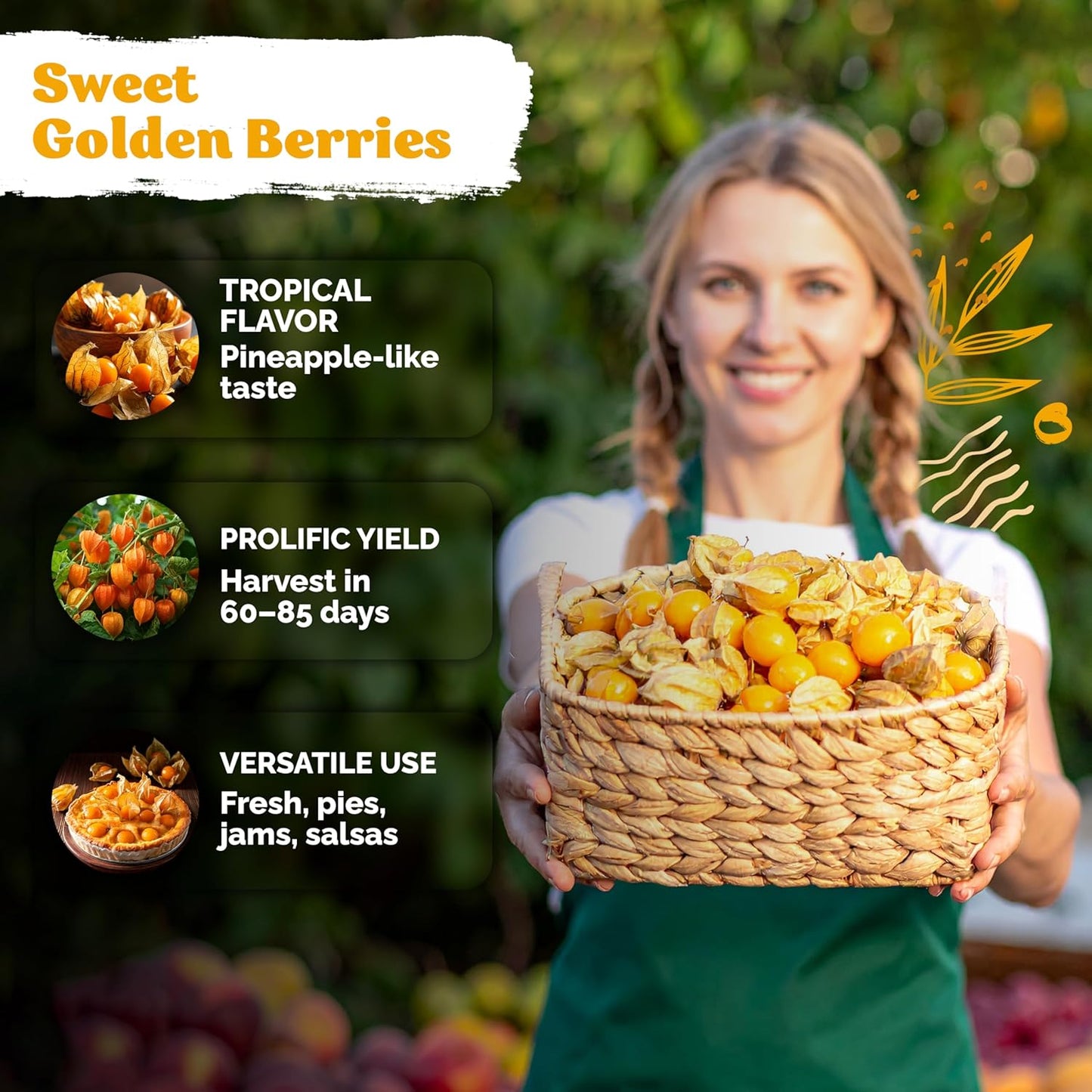 KVITER 650 Aunt Molly Ground Cherry Seeds - Non-GMO Heirloom Organic Fruit Seeds for Planting | Tropical Flavor Berries