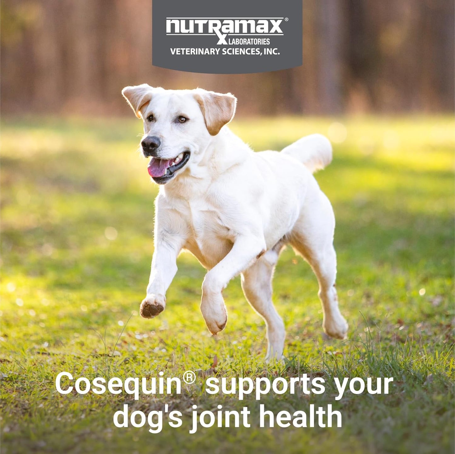 Nutramax Cosequin Joint Health Supplement for Dogs - Glucosamine, Chondroitin & MSM, 132 Chewable Tablets