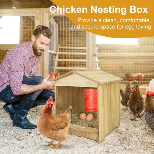 Chicken Nesting Box - 3 Compartment Wall Mount Wooden Egg Laying Nest for Hens & Ducks