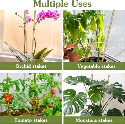 HAINANSTRY Bamboo Plant Stakes - 18 Inch Support Sticks for Indoor & Outdoor Gardening | 20 Pack