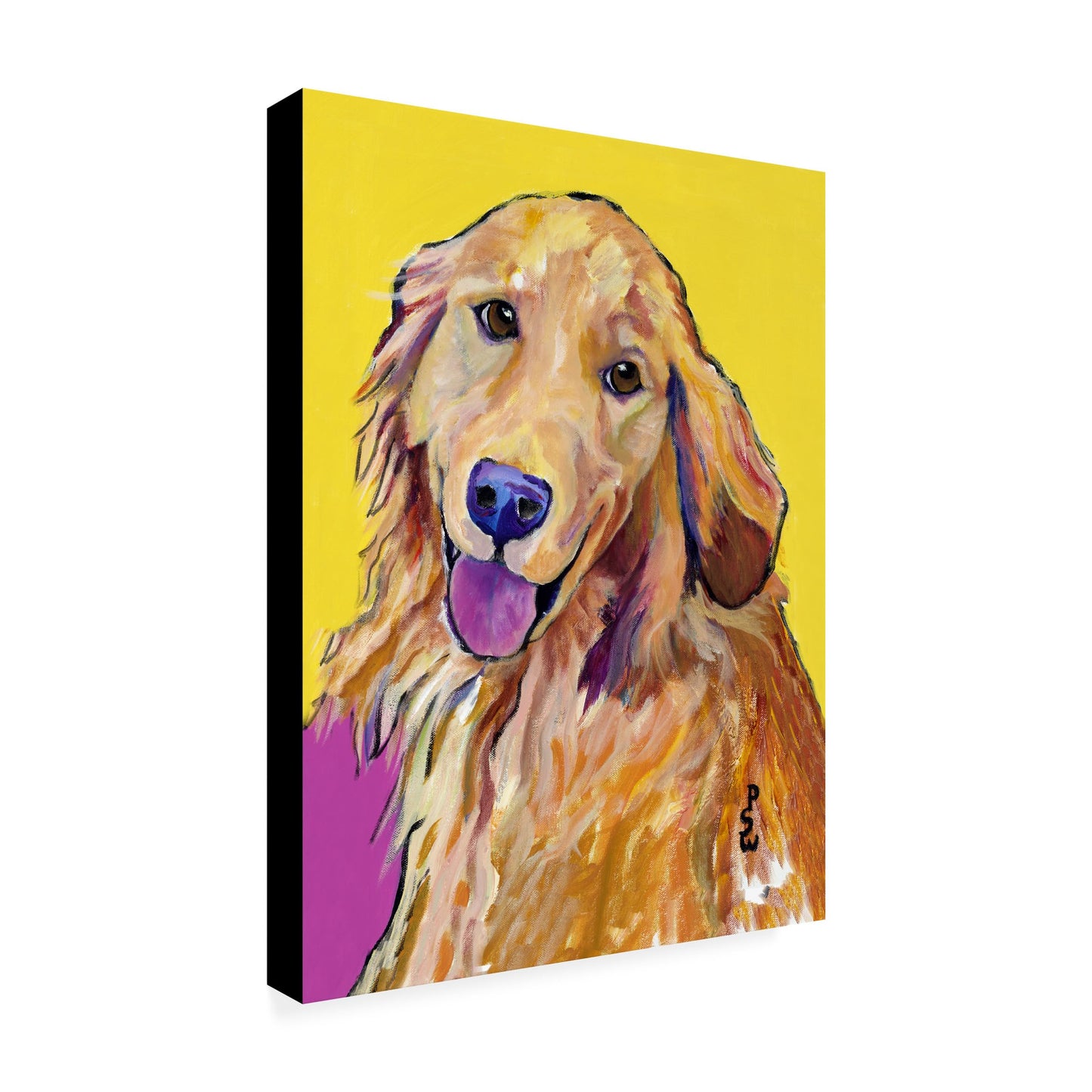 Trademark Fine Art Molly Canvas Art by Pat Saunders-White, 18 by 24-Inch