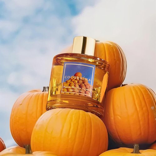 Cocorrína Reed Diffuser - Pumpkin Harvest Scented Set with 8 Sticks & Baby's Breath Decor