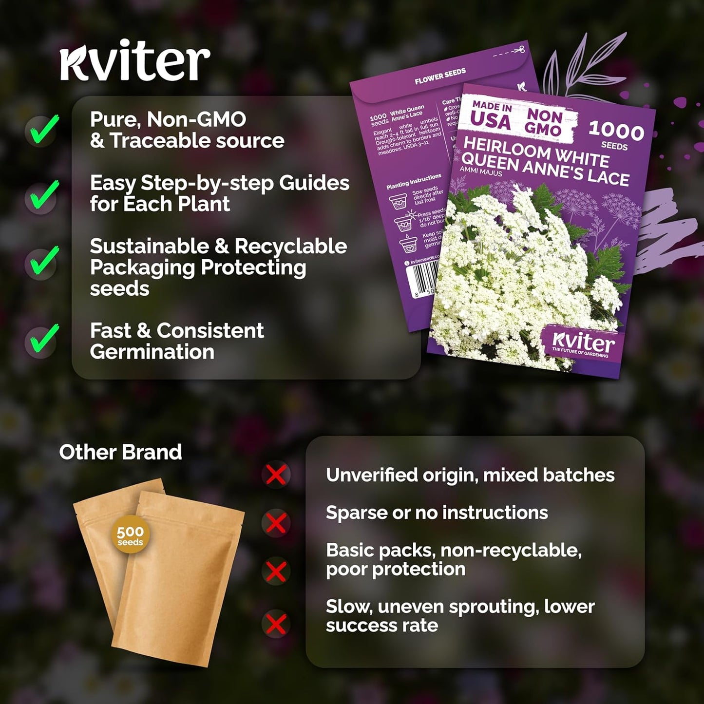 KVITER 1000 Queen Anne's Lace Seeds - Heirloom, Non-GMO, Organic Wildflower for Pollinator Gardens