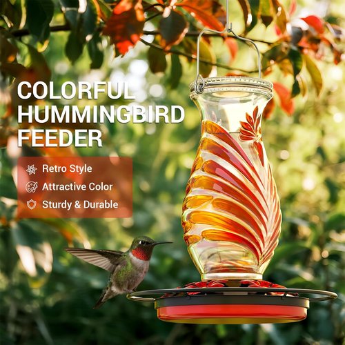 Hummingbird Feeder - 24oz Glass Nectar Feeder with Perch & 5 Flower Ports | Leakproof Outdoor Decor