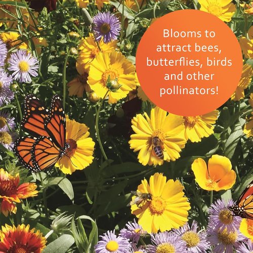 Earth Science Wildflower Pollinator Mix - 6 lb Non-GMO Seed Blend for Bees, Hummingbirds & Butterflies