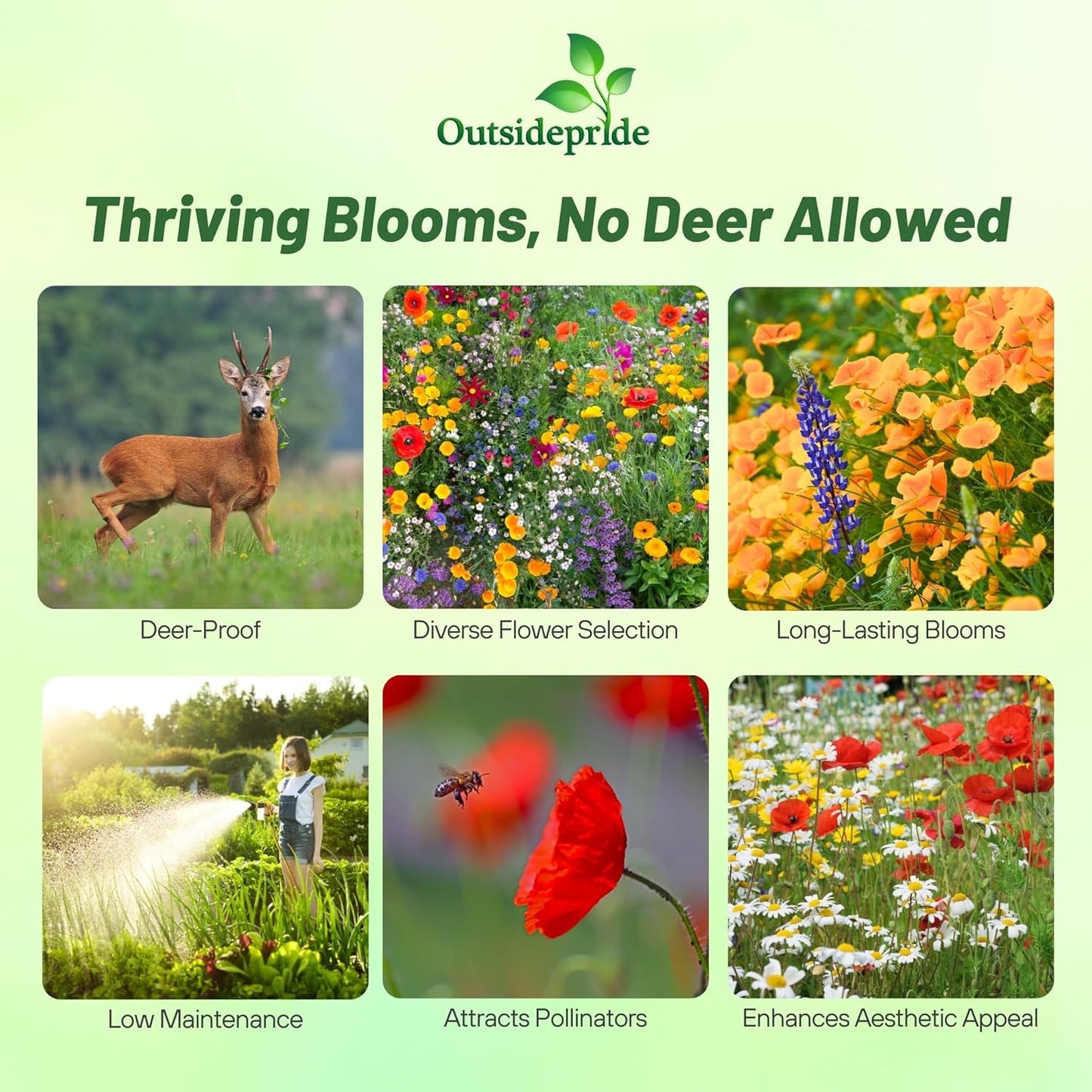 Outsidepride Deer Proof Wildflower Seed Mix - 1 lb. Colorful, Drought-Tolerant Blend for a Vibrant, Pollinator-Friendly Garden
